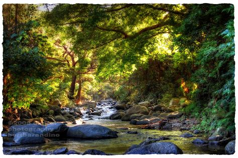 kinantot sa tabing ilog|Tabing Ilog .